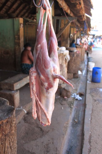 IMG_7515_mutton_rs